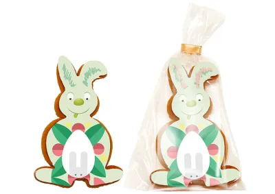 fotografia Ciastko Wesoły Królik