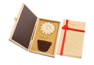 fotografia CZEKOLADOWY KWIATEK W DONICZCE