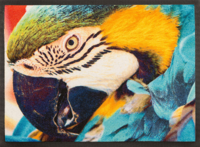 fotografia Wycieraczka JET PRINT VELOUR 