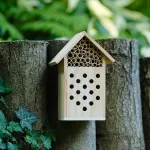 fotografia Domek dla owadów Bee, beżowy