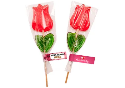 fotografia Lizak Tulipan 